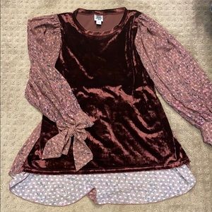 Ivy Jane velvet top